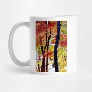 Autumn Colours 10 Mug